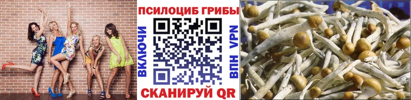 Галлюциногенные грибы Cubensis  закладка  Фёдоровский 